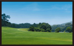 インターネットライブ配信はコチラ